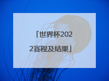「世界杯2022赛程及结果」世界杯赛程2022赛程表