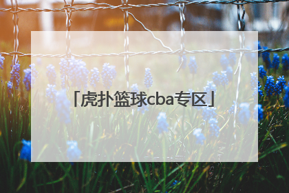 「虎扑篮球cba专区」中国篮球虎扑CBA专区