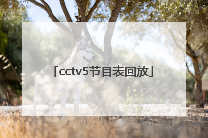 「cctv5节目表回放」CCTV5节目回放