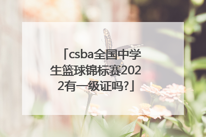 csba全国中学生篮球锦标赛2022有一级证吗?